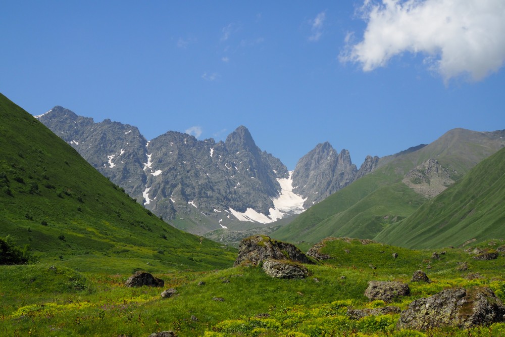 Chaukhi